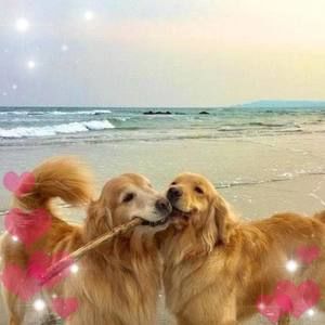 Meet your Posher, Ericka